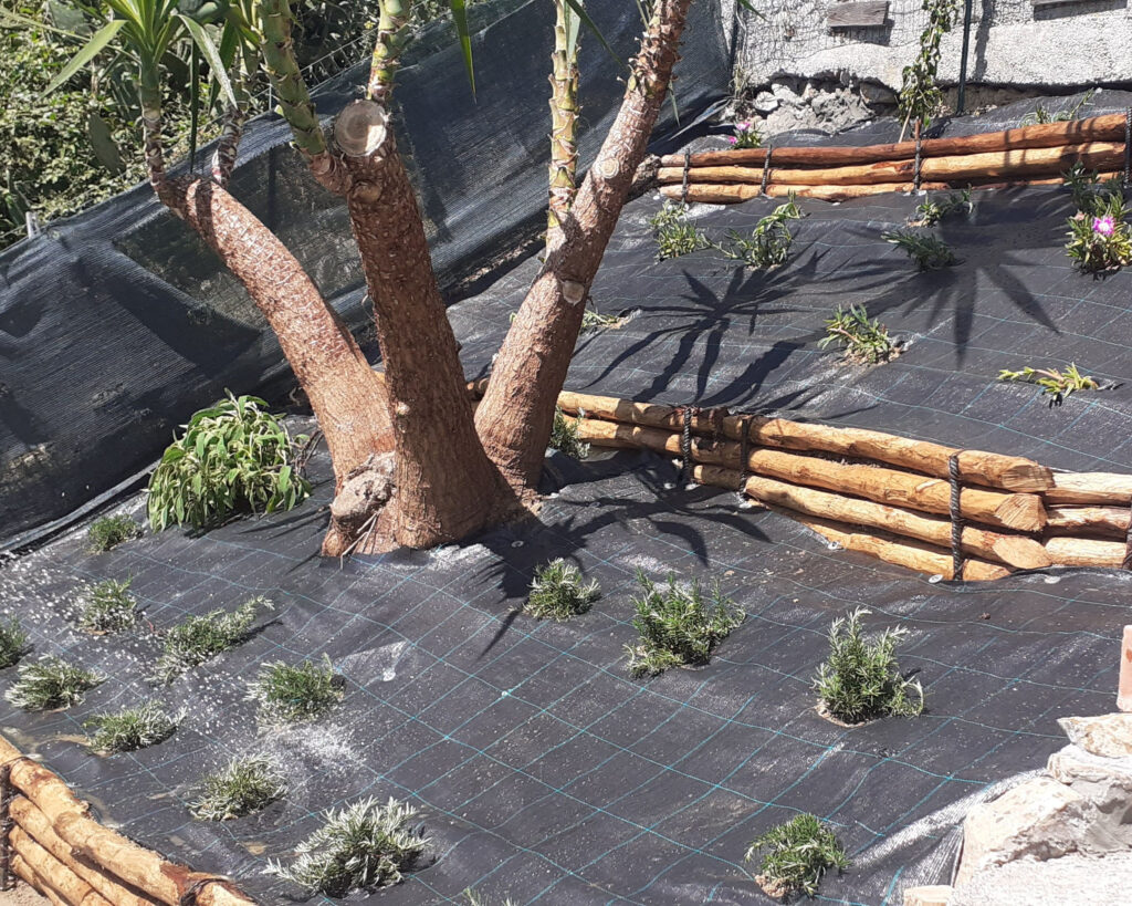 Installazione di giardino palificato a Imperia con aggiunta di telo pacciamatura