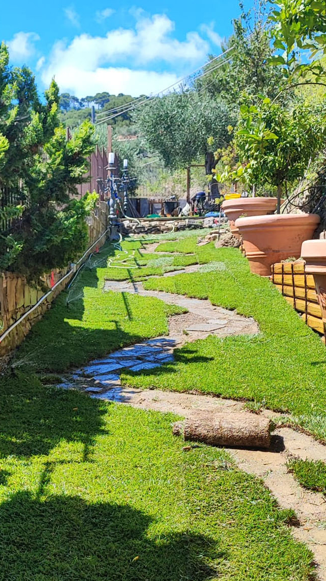 Installazione prato verde con tappeto Imperia