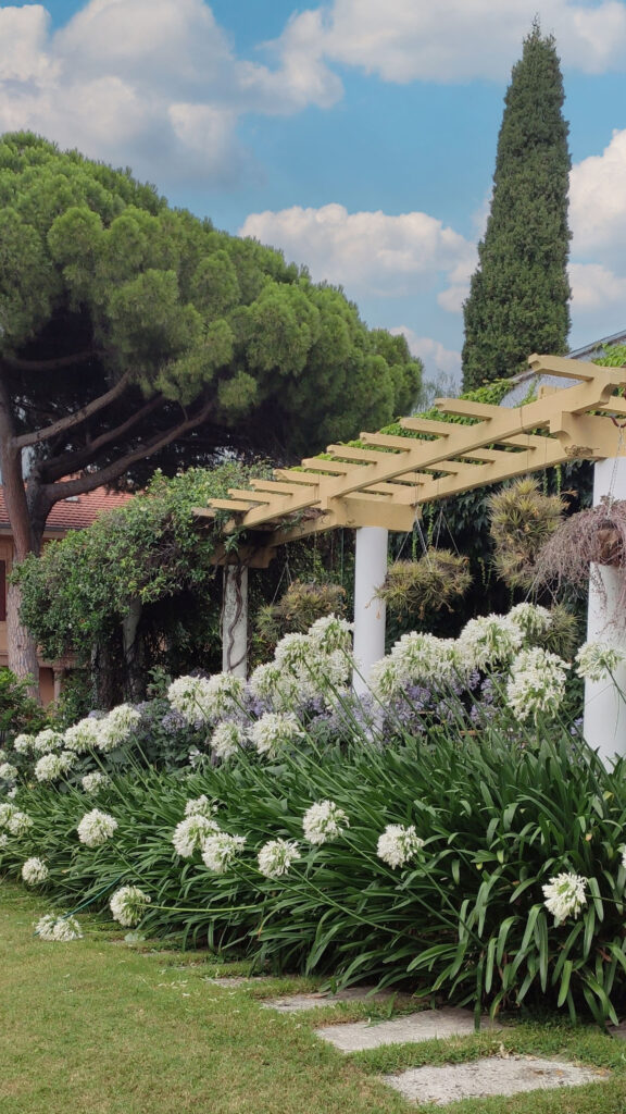Giardino con prato e fiori lusso