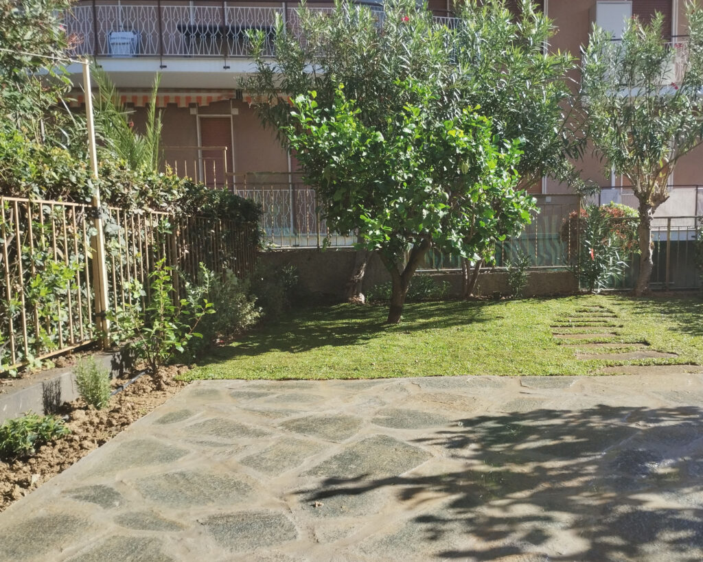 Prato esterno a rotoli con alberi da frutto a Imperia